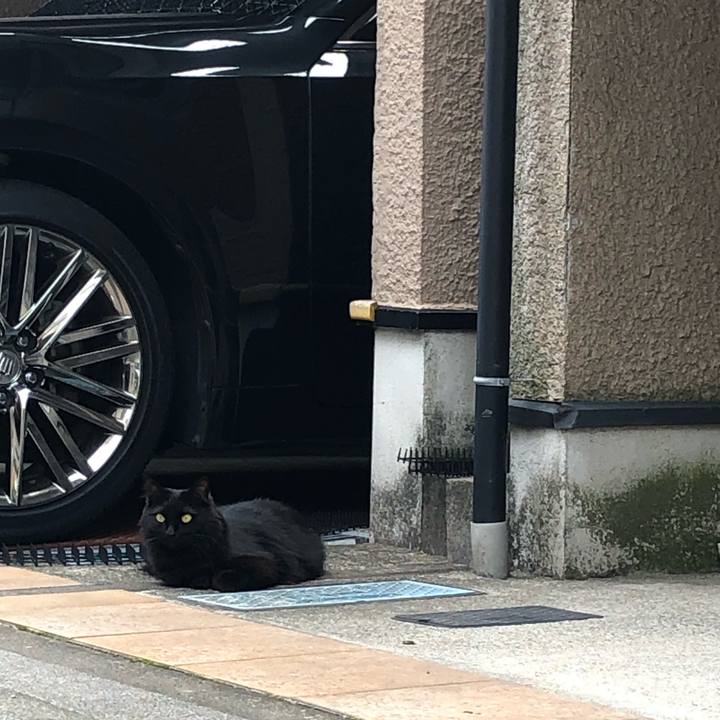 0ffdd305 561e 444a 960b 6824aa11a4e6 1560604141746