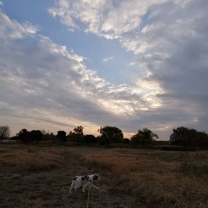 0ffdfb7b c34c 432b 81b9 bb4e6746a51d 1607590439838