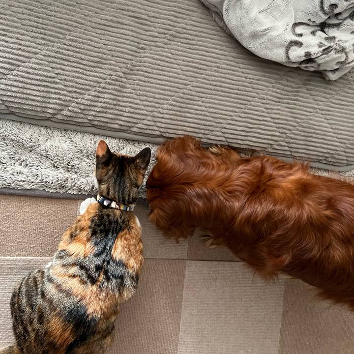 0ffe0644 3a12 4eff 8717 63379a0d072a 1672178483025