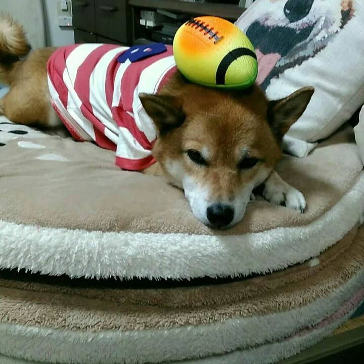 0ffe26d0 a1a4 49b5 8aa4 906ea565472d 1570182799872