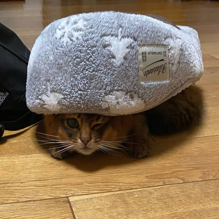 0ffe4eb9 55d5 4662 a325 def5e5c281fa 1675758678570