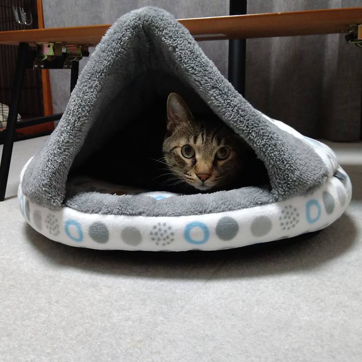 0ffe8e46 762a 4456 82d9 e141f26af2e5 1634152339082