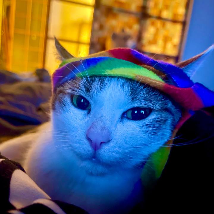 0ffec7d8 23ae 46be b0ab faaa123b01e7 1627725052471