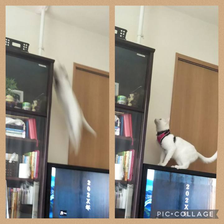 0ffecae7 1eec 4733 ac43 e81708059eeb 1653258380945