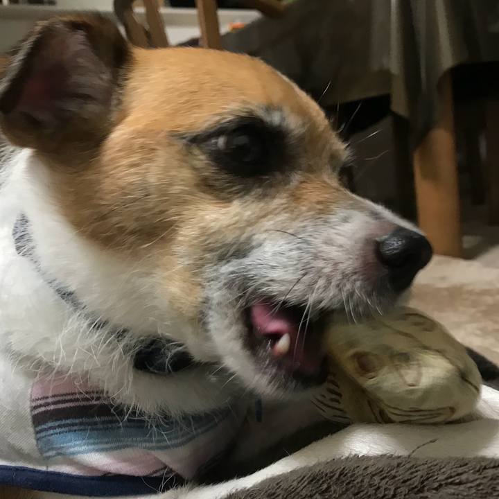 0fff0145 63a2 448b 9aab fde98c9e8d22 1534158064133