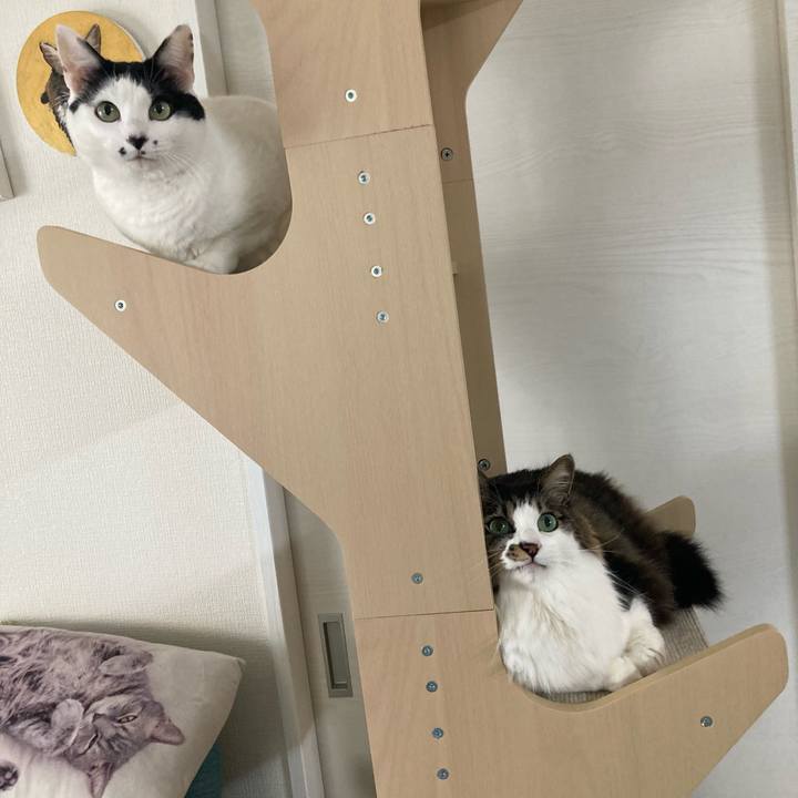 0fff03ef 3a63 45e5 8a91 337154c2aea1 1766711238305