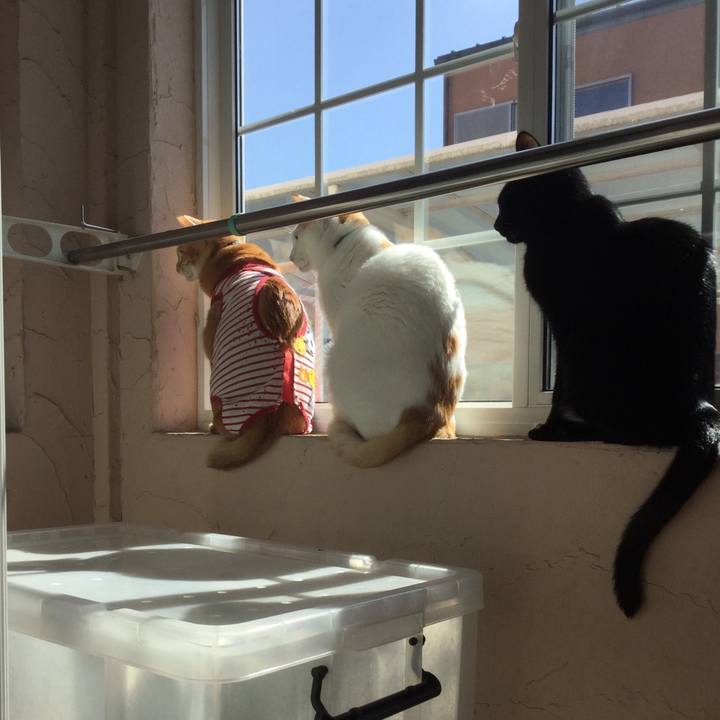 0fff0490 ee6d 40f5 8a86 653ab92e366f 1582443874767