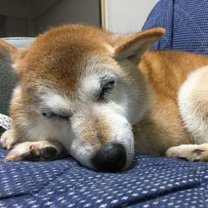 0fff0e18 ae82 4432 89fe 1060b3baff4e 1510755340243