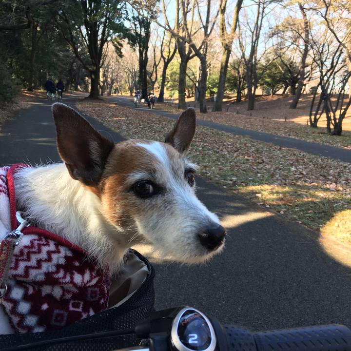 0fff3a5d ac0f 4e4b b190 b709aaa17472 1642375591505