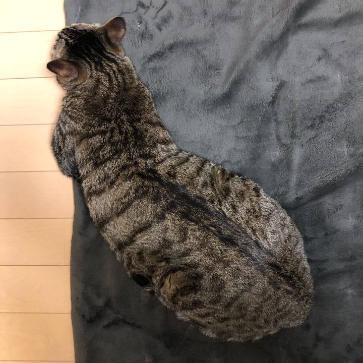 0fff8eae e94a 4547 ad3f e9d8f5380c98 1551198404898