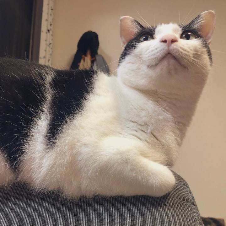 0fffbd69 9e69 44c5 9a22 82a45727ce2f 1559050626311