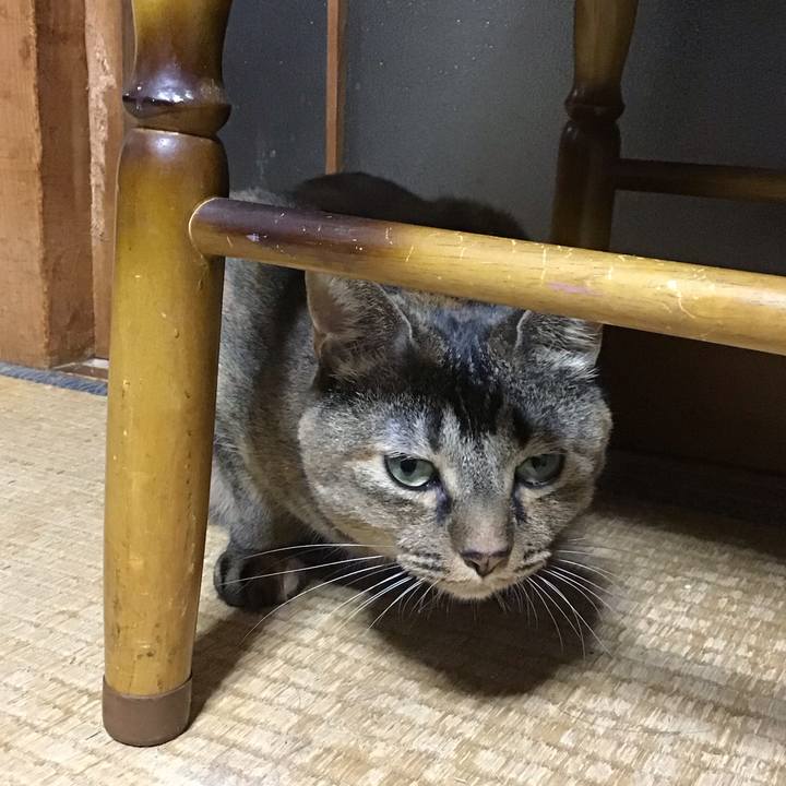 0fffc405 a7bb 43fc aa47 adaab457c6b0 1758279151329