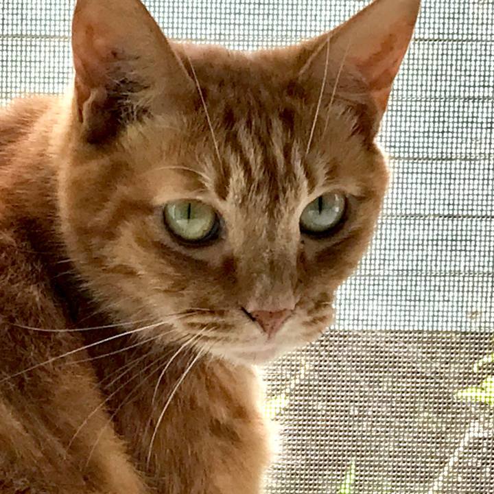 0fffe9bb 07d2 4f64 8b64 04acfe460d15 1562289480527