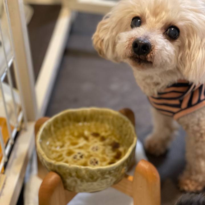 0ffff11a 0121 4763 a485 a780534b5483 1678278728339