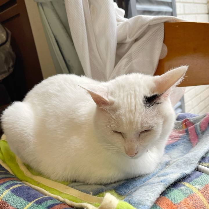 100000fc 6b10 40c8 866f 5fd90360ddad 1765406696944