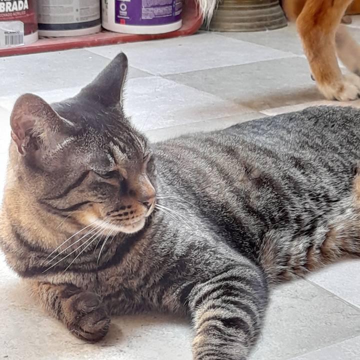 1000186f fe9f 45b2 95b0 e95d5f8a8292 1767362259415