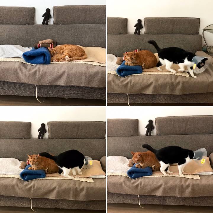 10005319 eef1 4dd5 a79b f364f4a9060e 1579588535926