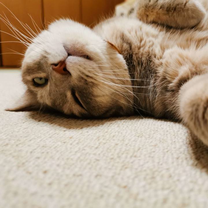 100059e8 c921 4eb8 bb9a f771c5be9ebc 1630033729991