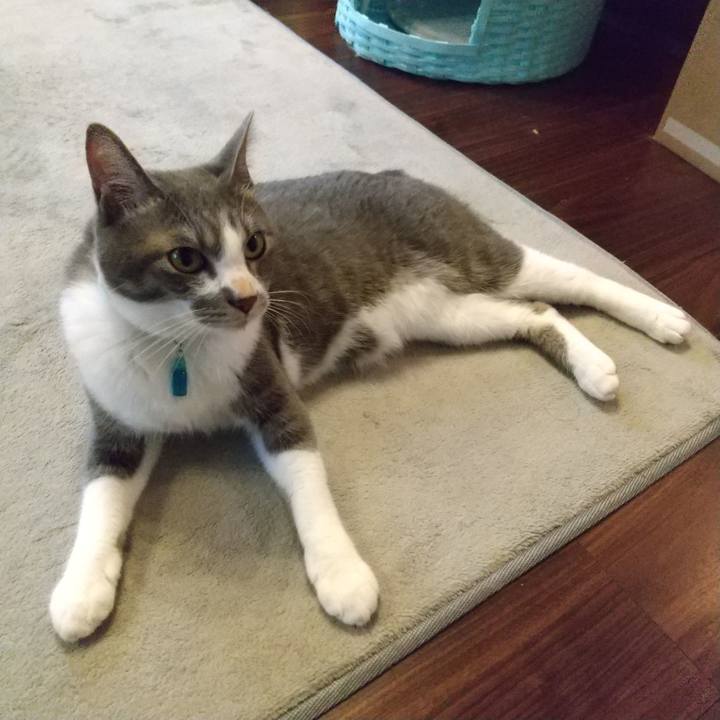 1000797d 362f 451a 930d 3eb1219e9d80 1621289029775