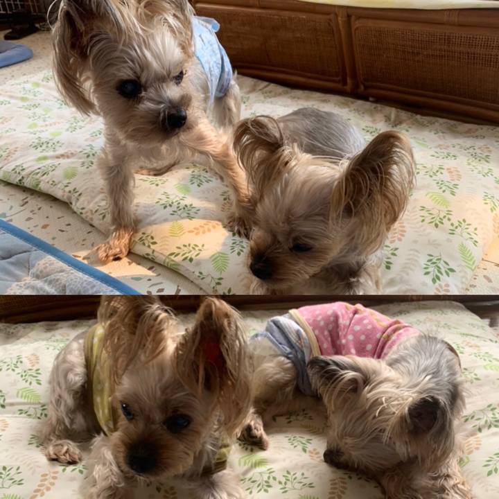 10007be6 503e 47c6 8584 0ce1d494dd55 1664702147585