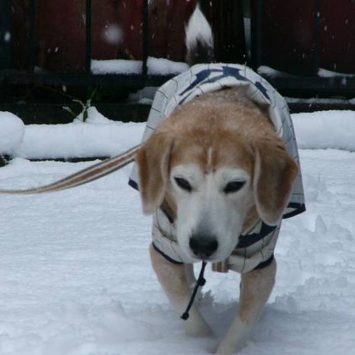 100080fa 9c2b 47d1 90cd c49aa73e8b5f 1676597916644