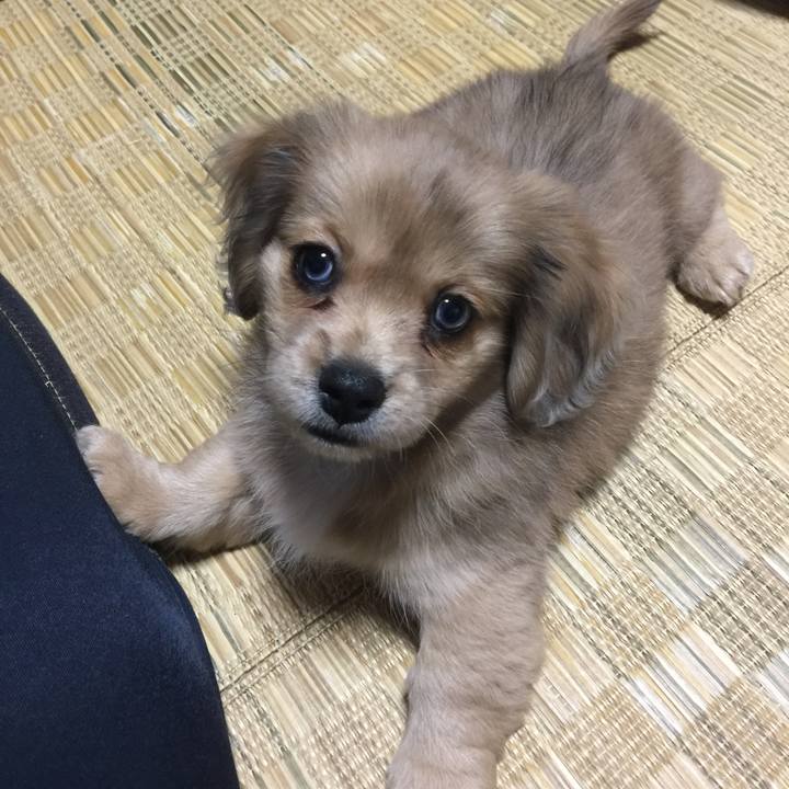 10009265 48b2 4b35 b504 2c6a017bfcd5 1563724842222