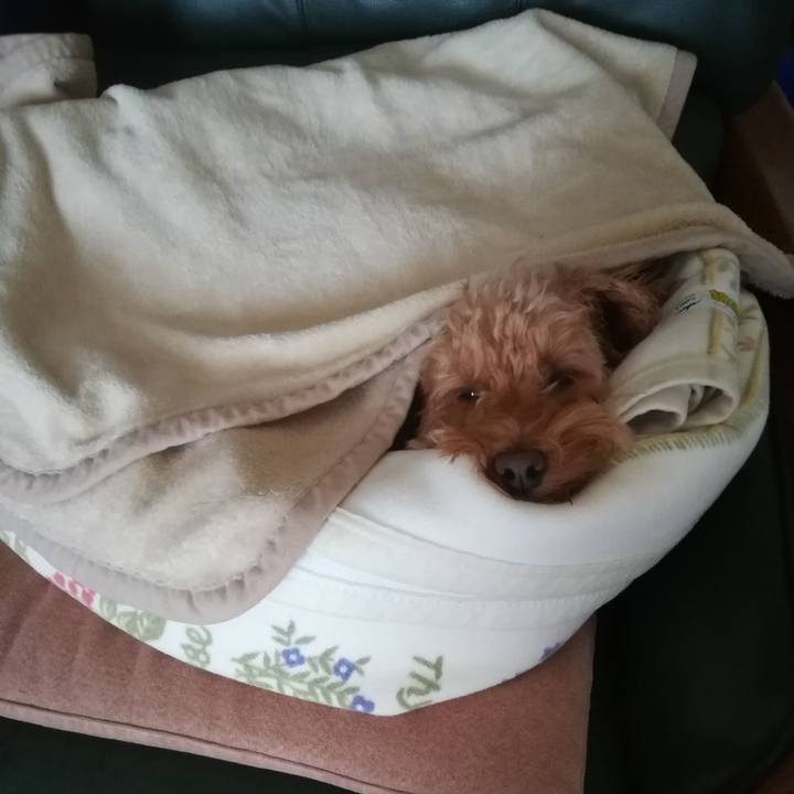 1000caa9 57a9 4c90 b79b da87d3514768 1547508305613