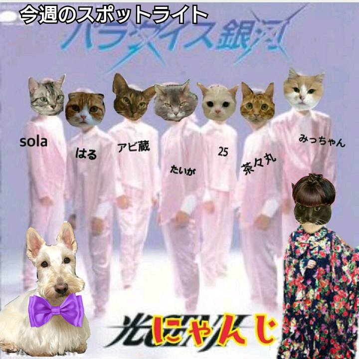 1000e1c2 bf82 401a 841c 2e9b8ac2923b 1529840229524