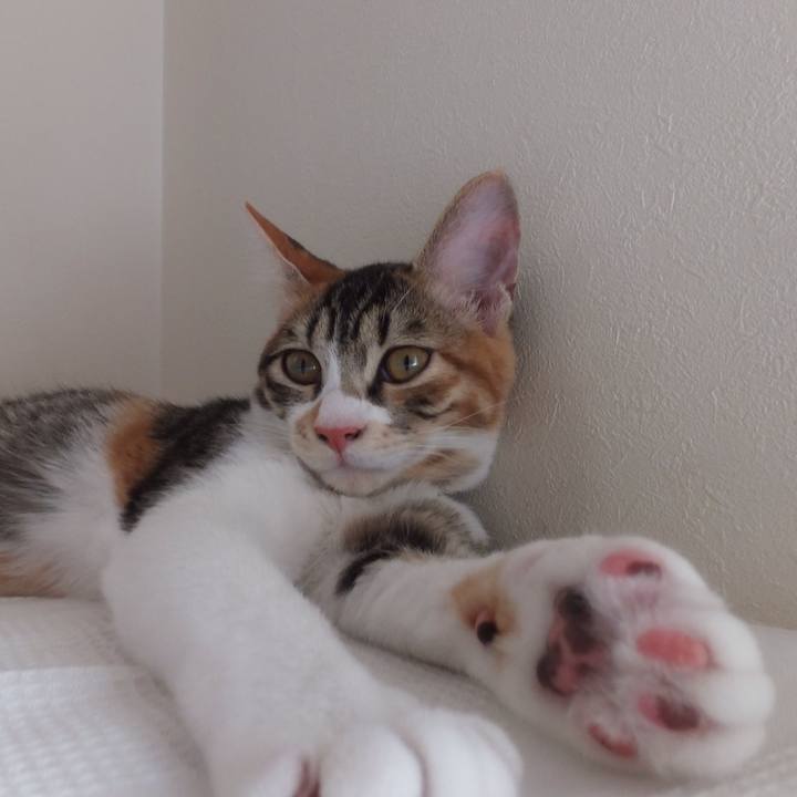 1000e49a f28f 438b a08a 2d9e563c8d5b 1631331559311