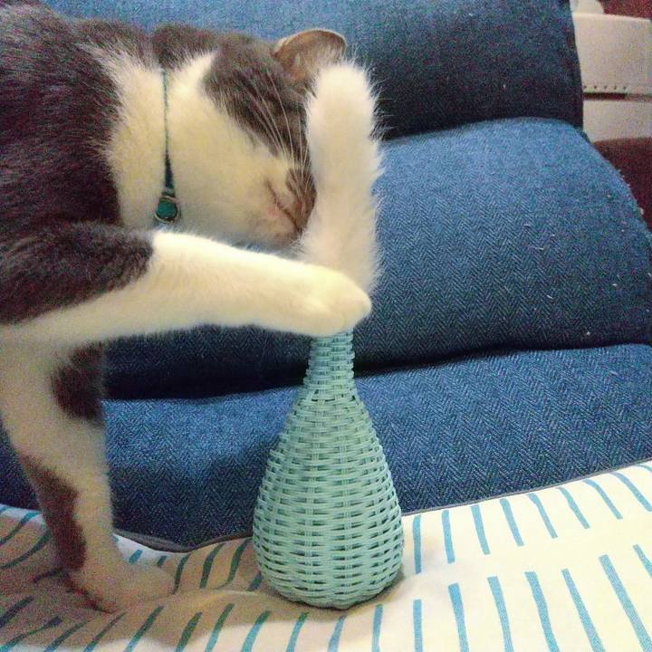 10012828 b3c2 47e4 a7f7 c50a00be5038 1637482350909