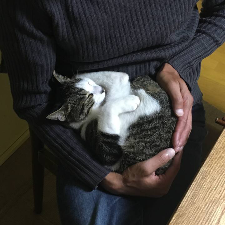 1001393e a56f 44d2 b5cf ff65c50de5d2 1507951237831