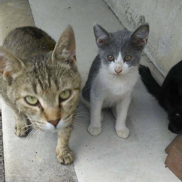 10015f52 13e5 43c6 86cf 96e5e5ee10f9 1530415120851