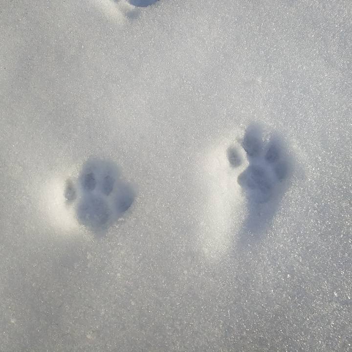 10016027 1915 41a0 ba87 124650b19ab1 1606542569804