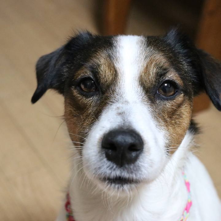 10019ed2 7e2f 4ad2 b398 2355d4900d17 1514977654170