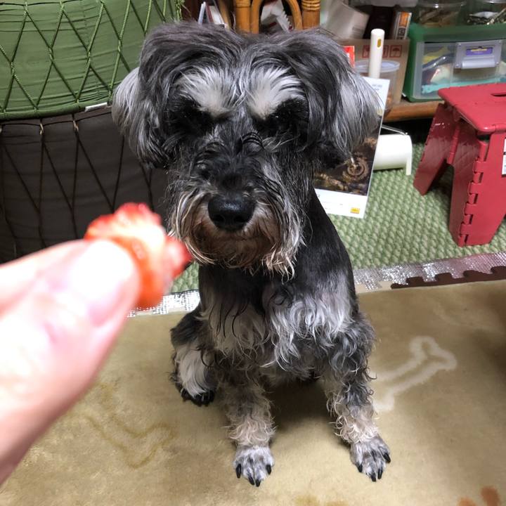 1001b277 2afd 484b 8a1a beb831437656 1556459397904