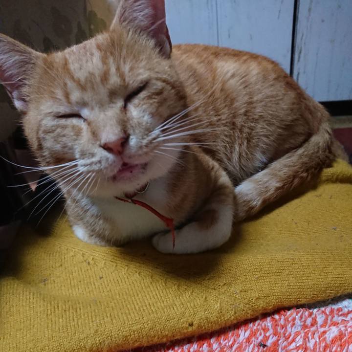 1001b3b1 ca07 41cf b48d d5142e435f8a 1570531371743