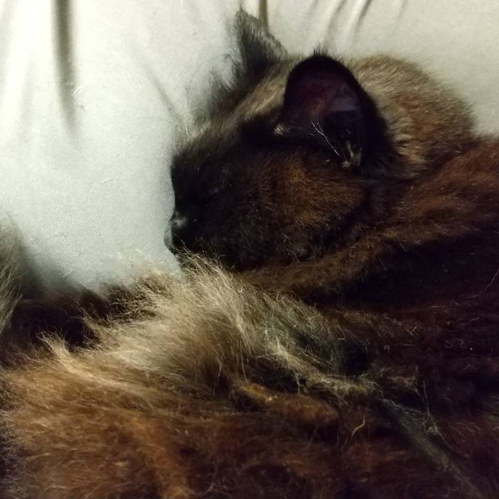 1001c3cd f8c5 464e b091 26eafce74988 1622545430877