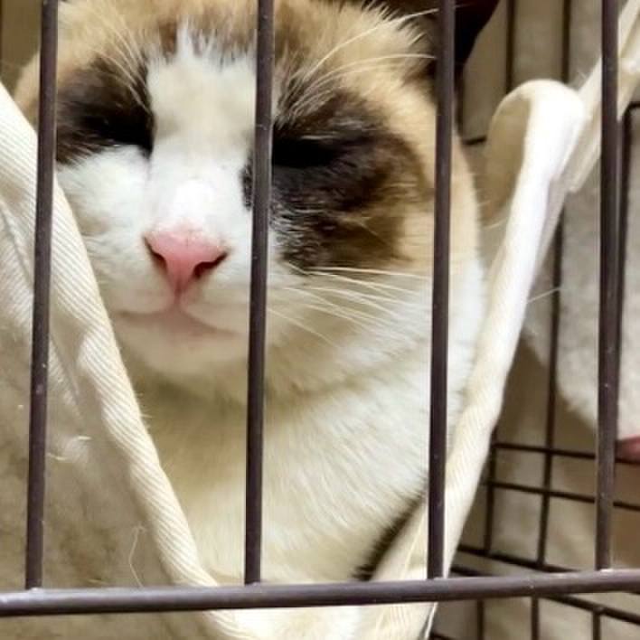 1001d915 7178 4794 b9ff 6e5a75bba0b8 1737890499266