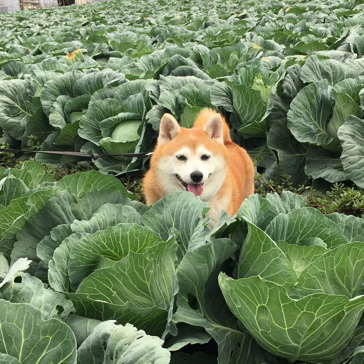 100267ec 697f 428d 80a9 2b7f24bf639f 1535631128595