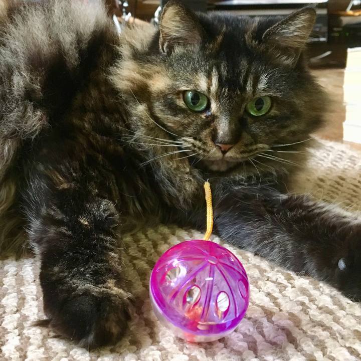 1002888b df90 4bc2 8c7a b5724d545ffc 1545870852573