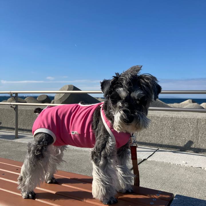 1002a91f 4ac7 4b9f 9647 fbea99c80362 1770780872091