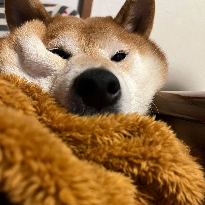 1002f829 3d06 493c 9015 86e8552a92dd 1645356885117