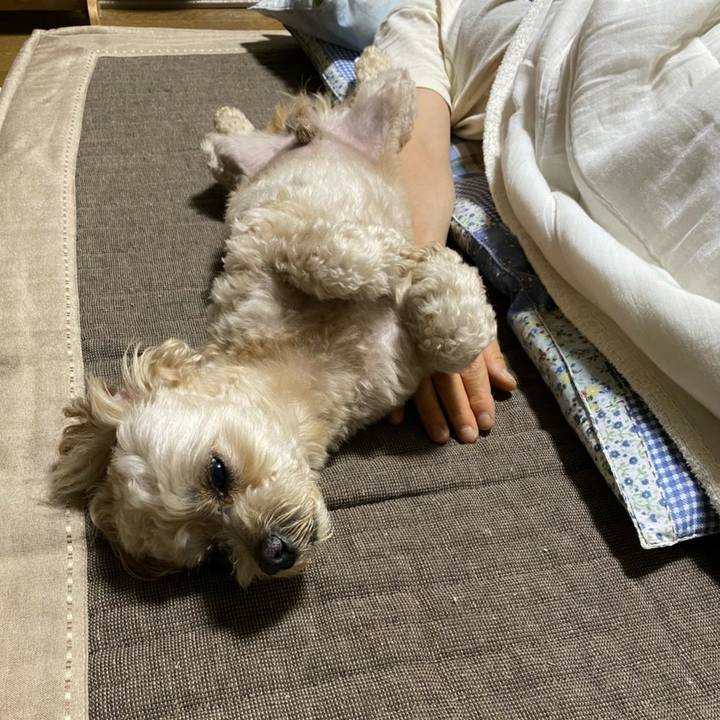 10031814 d671 4f96 82ce 3a5d77ebad02 1593993510013