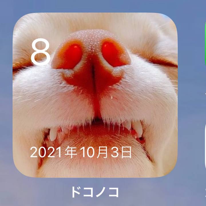 10035aef af89 4cad 9552 70b04ccc9dec 1696752609542