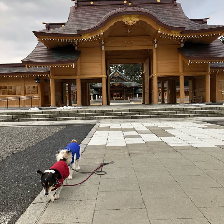 1003cc71 1dd5 4083 add3 7a173118d407 1550360882912