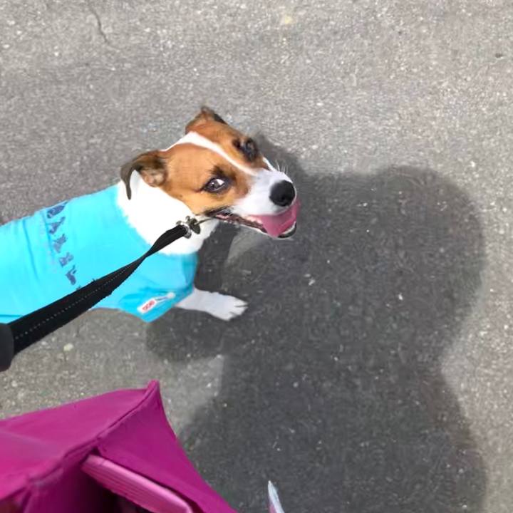 1003dc09 f742 4db8 b835 7185d9f81287 1564235598361