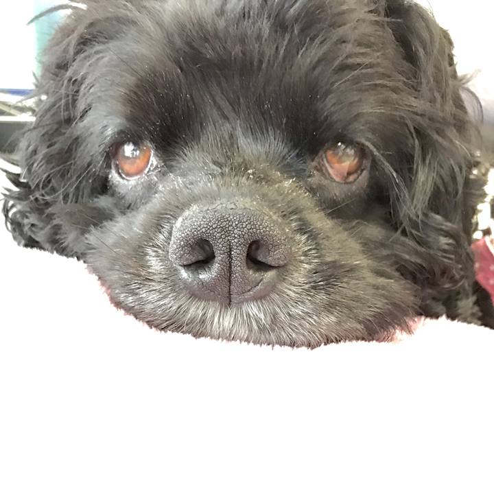 1004095d d94e 4b33 8350 c020dbef363e 1561870599872