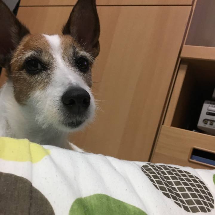 1004129e f509 4afd a6da 74487e1f5b09 1562729650216