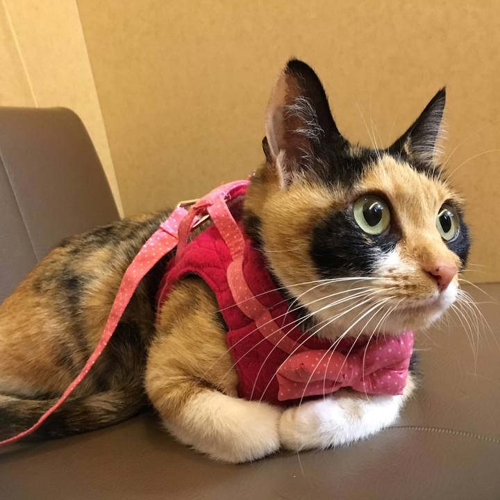 100437d6 fab7 487f 86ab 2723fe59bbfe 1512987482863