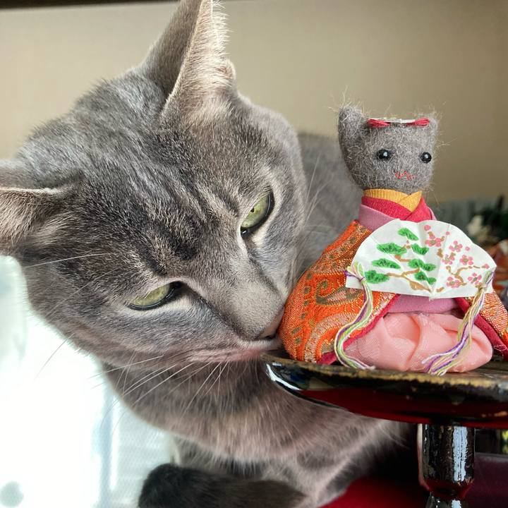 100447bf 12e8 4258 a335 242b9797b8f7 1677234847344